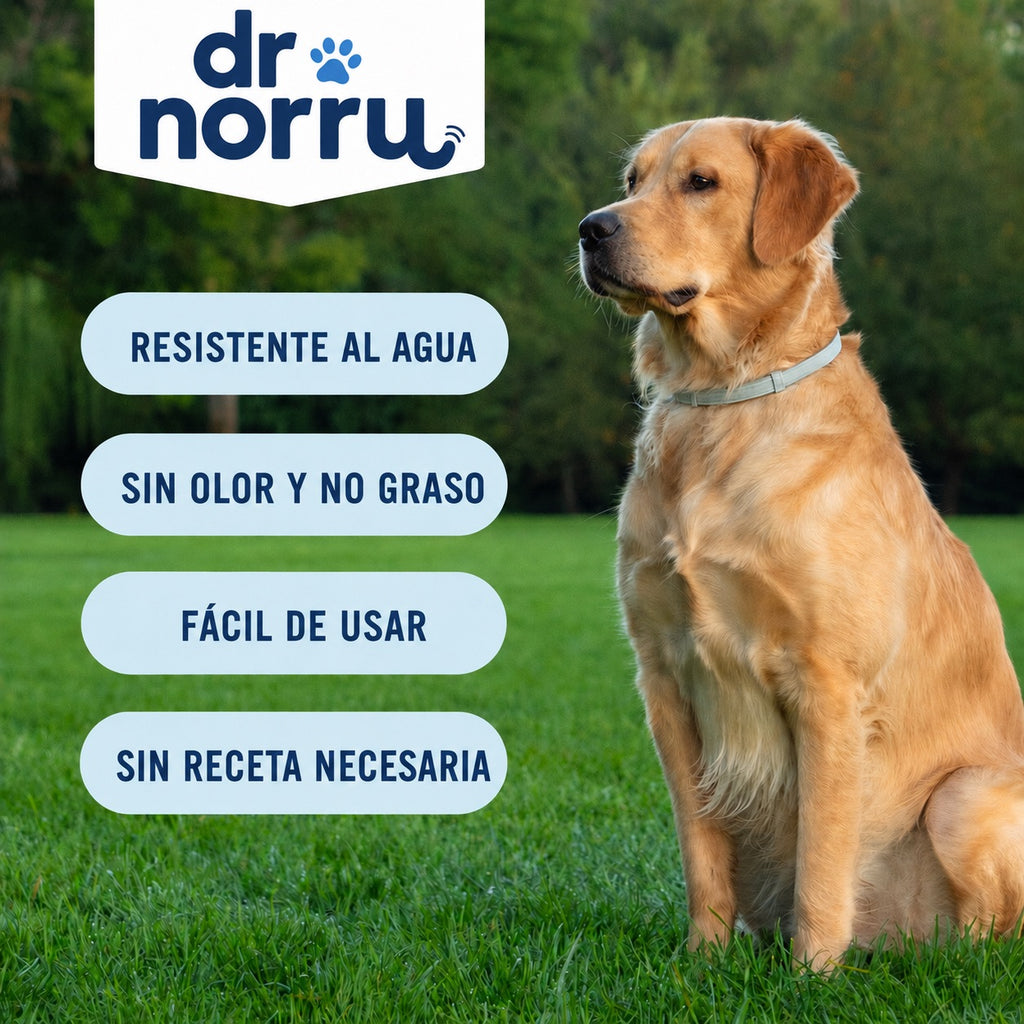Dr. Norru collar ajustable antipulgas y antigarrapatas para perros
