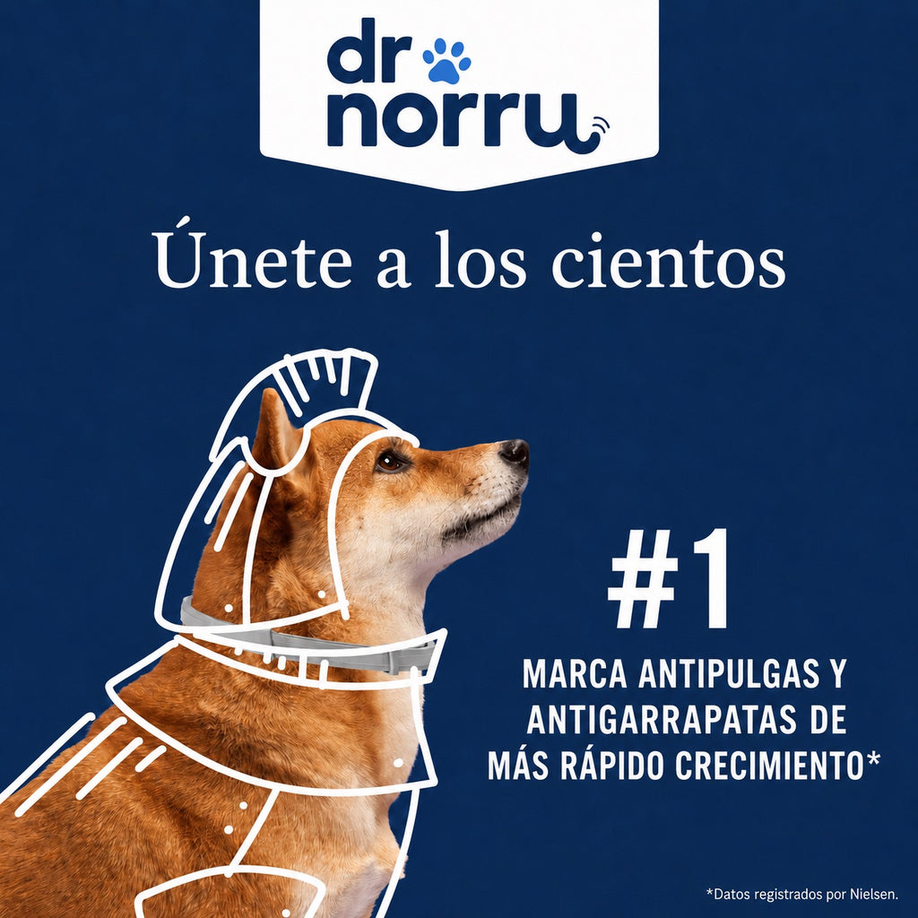 Dr. Norru collar ajustable antipulgas y antigarrapatas para perros